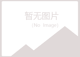 长治夏岚化学有限公司